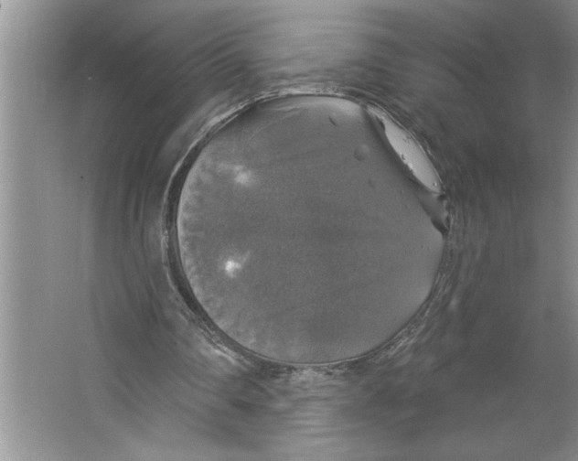 X0000064740290200603031715