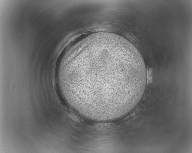 X0000064740291200603031715