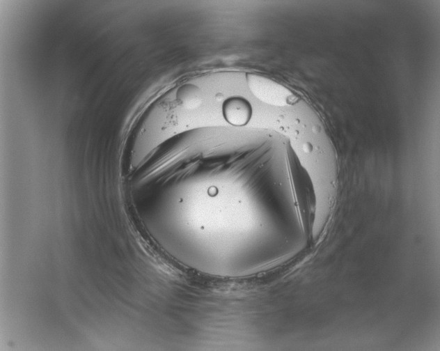 X0000064740293200603031714