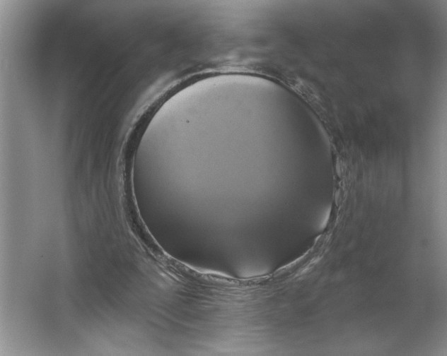 X0000064740295200603031714