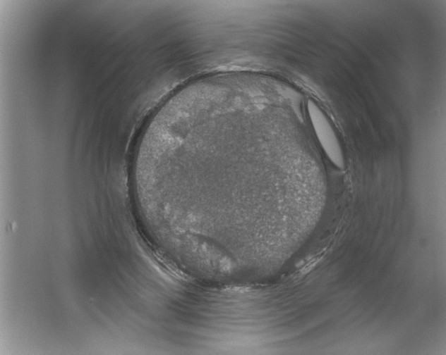 X0000064740298200603031714