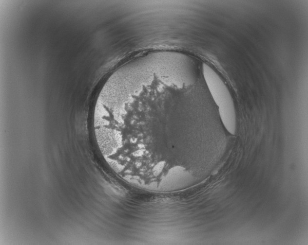 X0000064740299200603031714