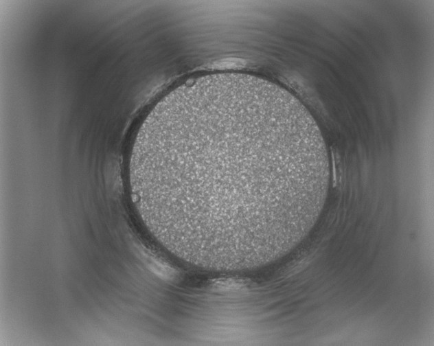 X0000064740300200603031714