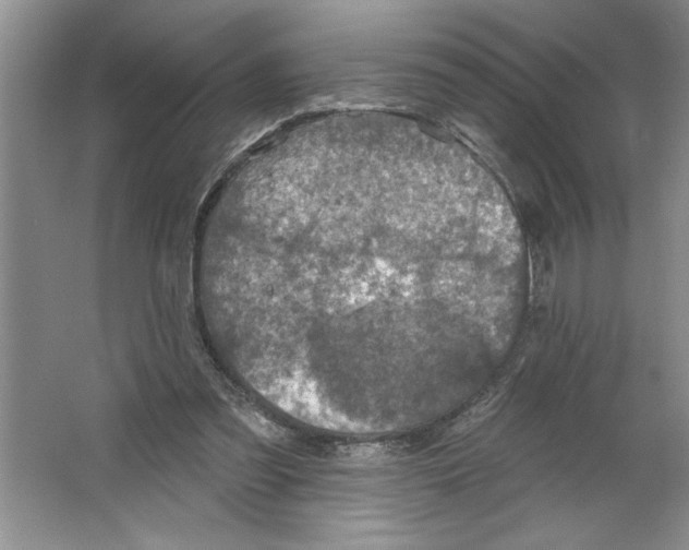 X0000064740301200603031714