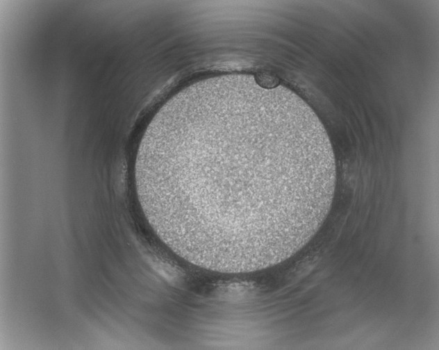 X0000064740304200603031714