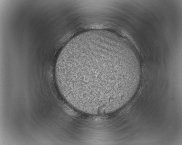 X0000064740305200603031714