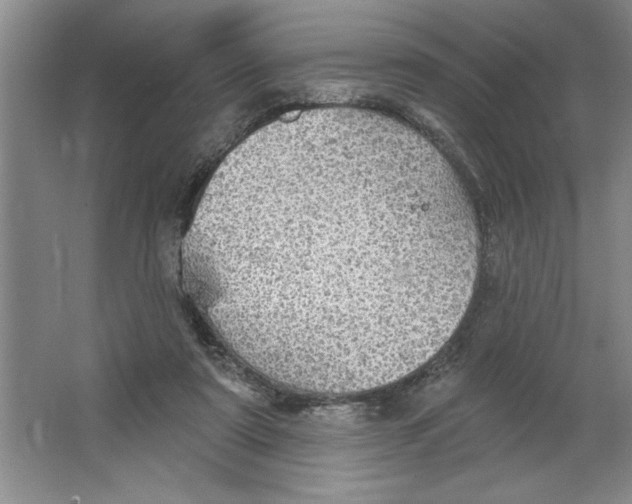 X0000064740307200603031714