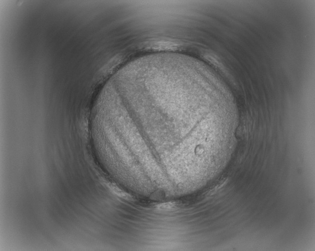 X0000064740309200603031714