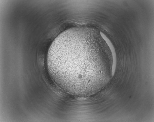 X0000064740315200603031714