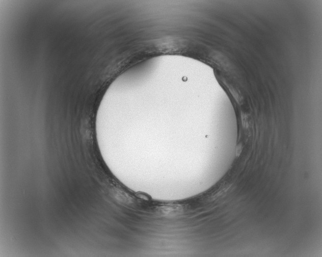 X0000064740317200603031714