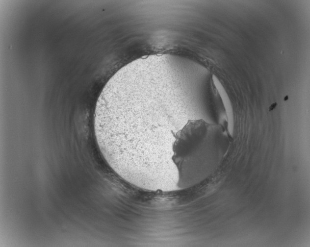 X0000064740319200603031714