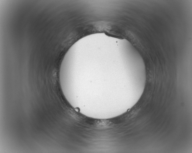 X0000064740321200603031714