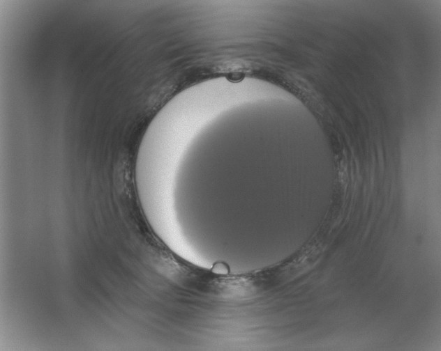 X0000064740322200603031714