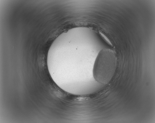 X0000064740323200603031714