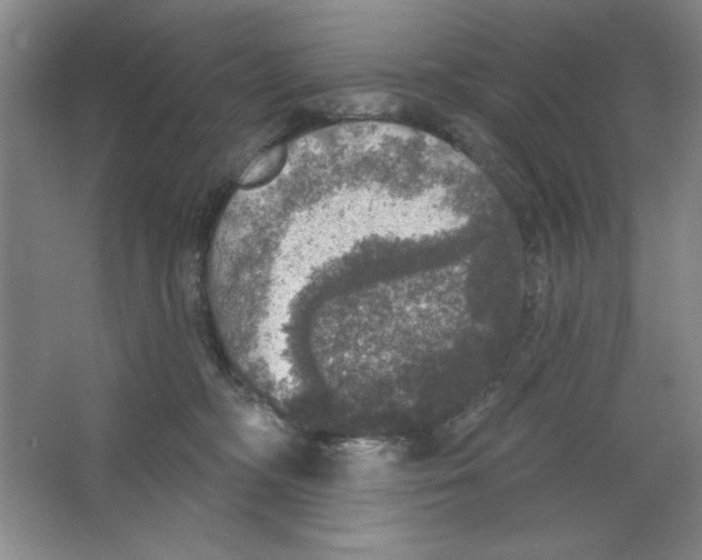 X0000064740326200603031714