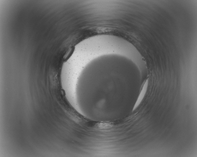 X0000064740327200603031714