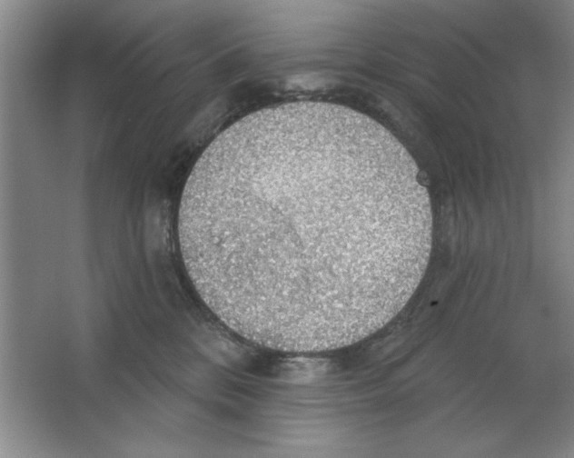 X0000064740328200603031714