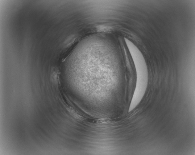 X0000064740329200603031714