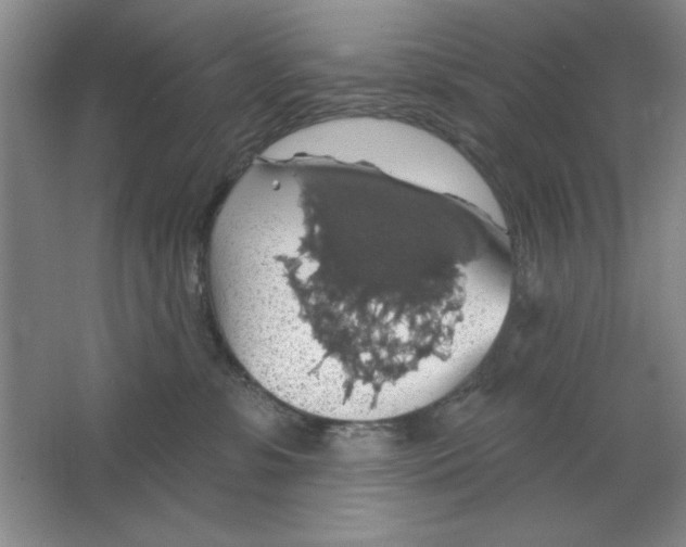 X0000064740331200603031714