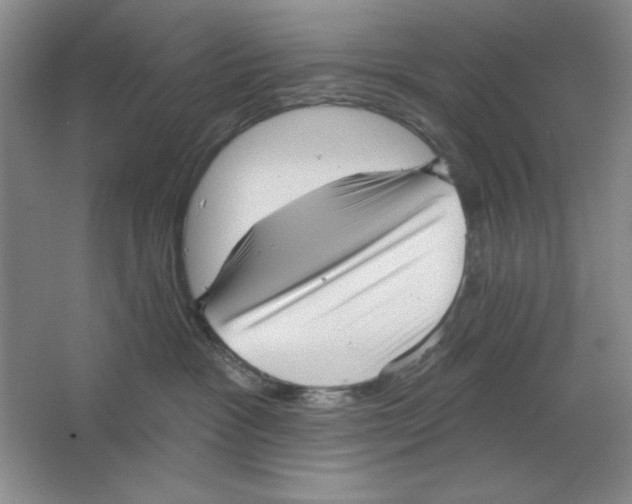 X0000064740333200603031714