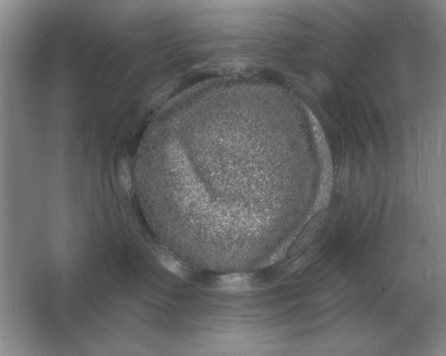 X0000064740335200603031714