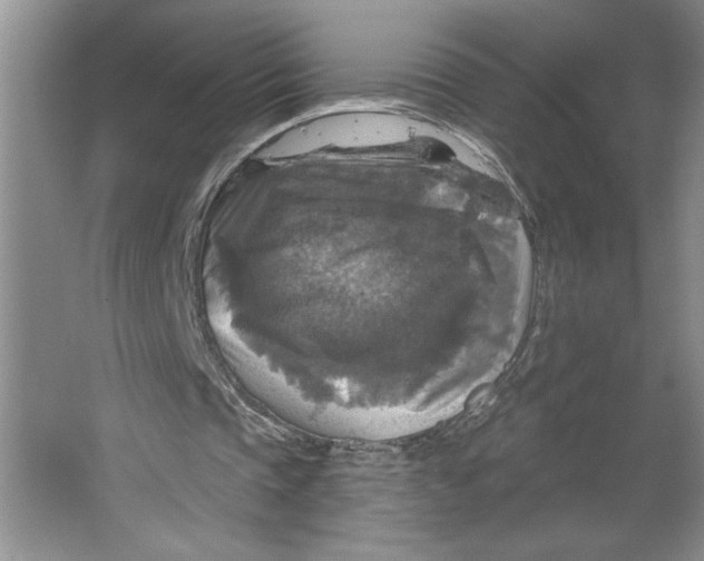 X0000064740337200603031713