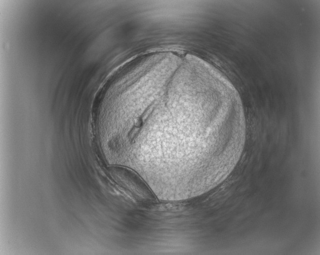 X0000064740338200603031713