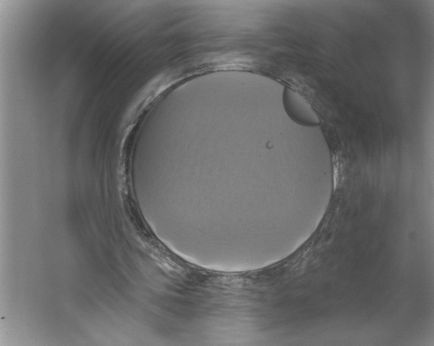 X0000064740339200603031713