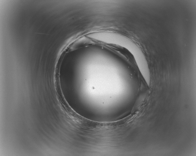 X0000064740340200603031713