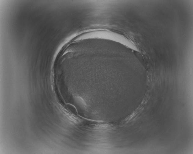 X0000064740342200603031713