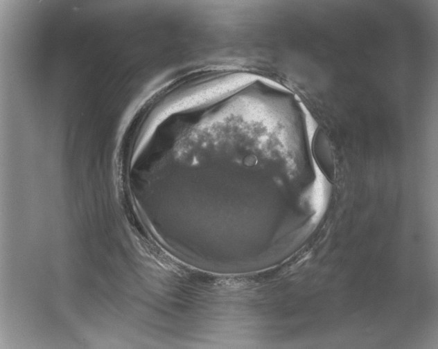 X0000064740343200603031713