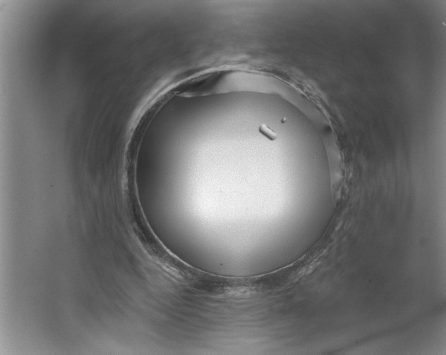 X0000064740344200603031713