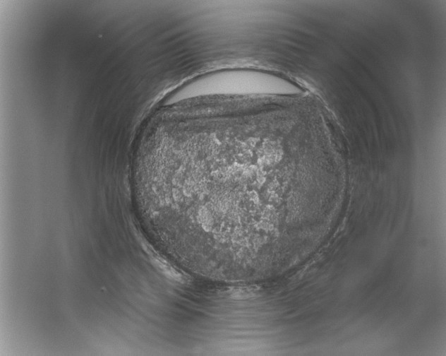 X0000064740345200603031713