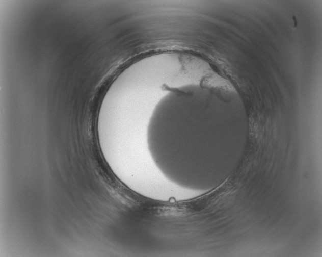 X0000064740347200603031713