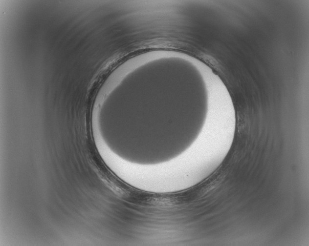 X0000064740349200603031713