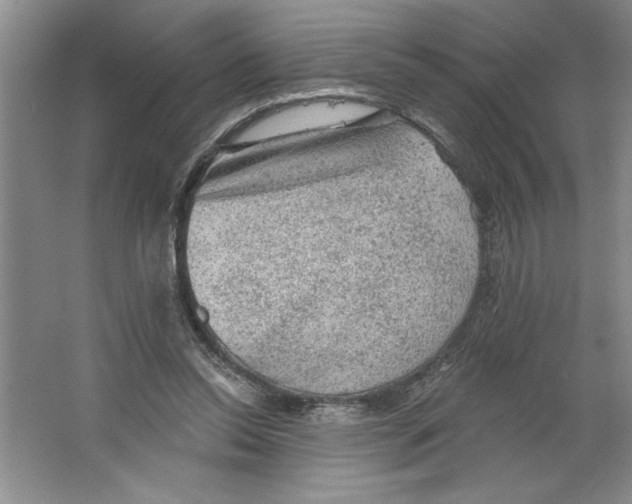 X0000064740350200603031713