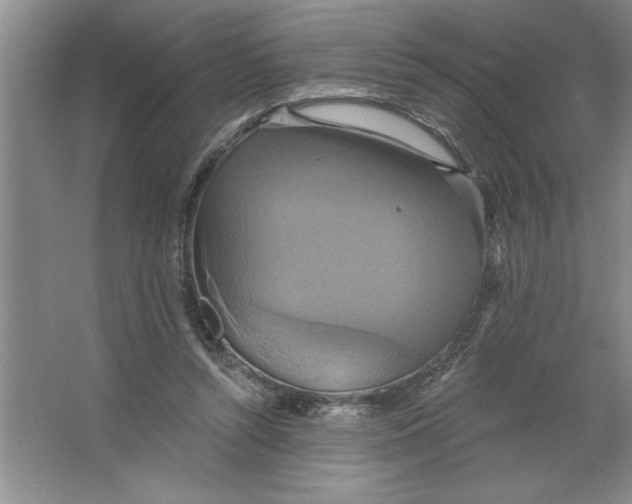 X0000064740352200603031713