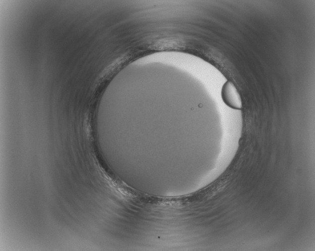 X0000064740353200603031713