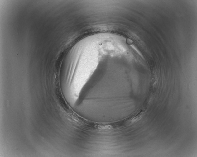 X0000064740355200603031713