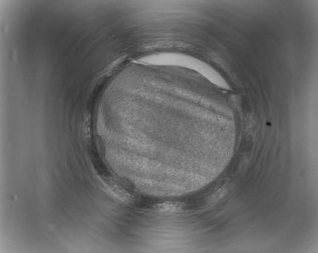 X0000064740356200603031713