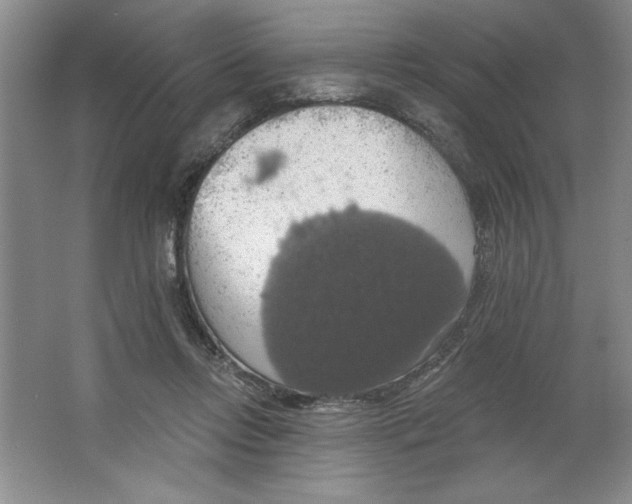 X0000064740358200603031713