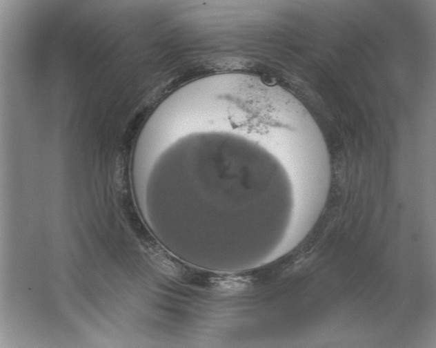 X0000064740359200603031713