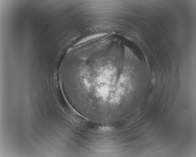 X0000064740360200603031713