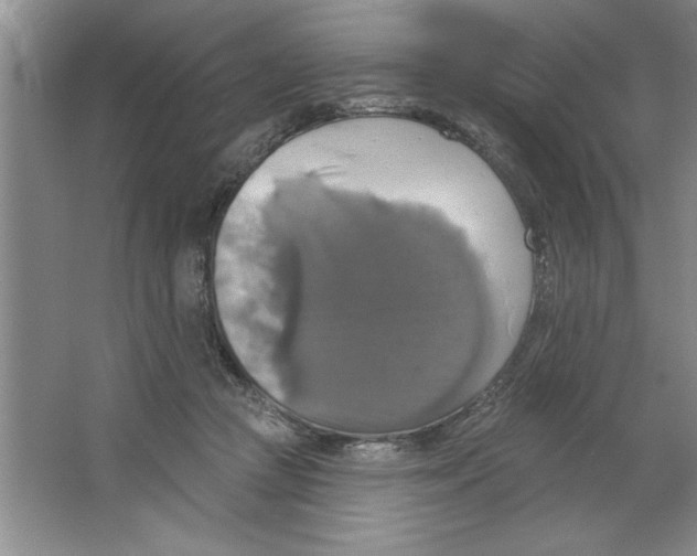 X0000064740361200603031713