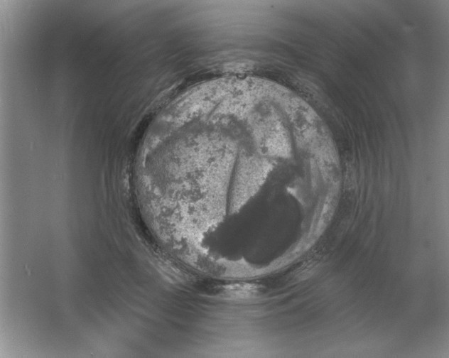 X0000064740363200603031713