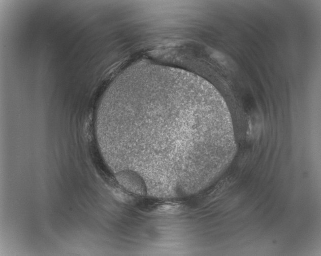 X0000064740364200603031713