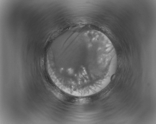 X0000064740365200603031713