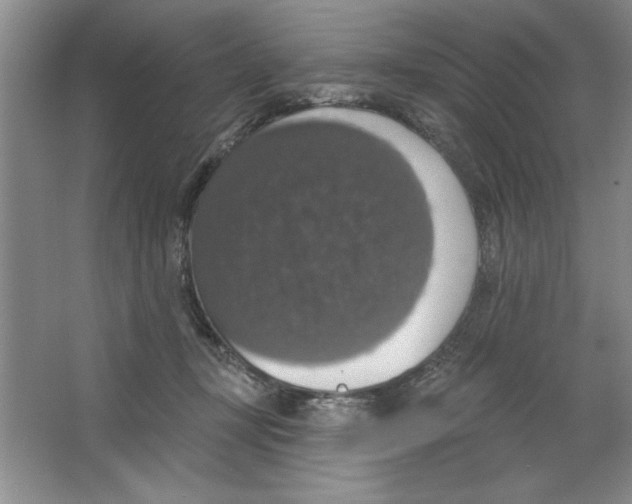 X0000064740367200603031713