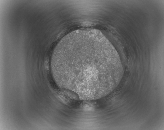 X0000064740368200603031713