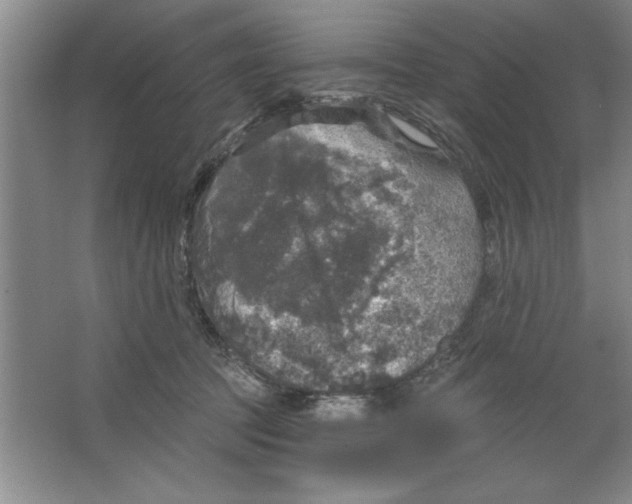 X0000064740369200603031713